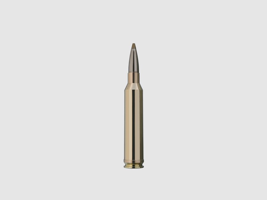 RWS 7mm Rem. Mag. EVOLUTION GREEN 8,2g/127gr, Bild 2 von 3