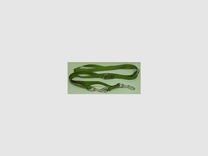 Mehrzweckleine 2 m - 20mm breit, grün