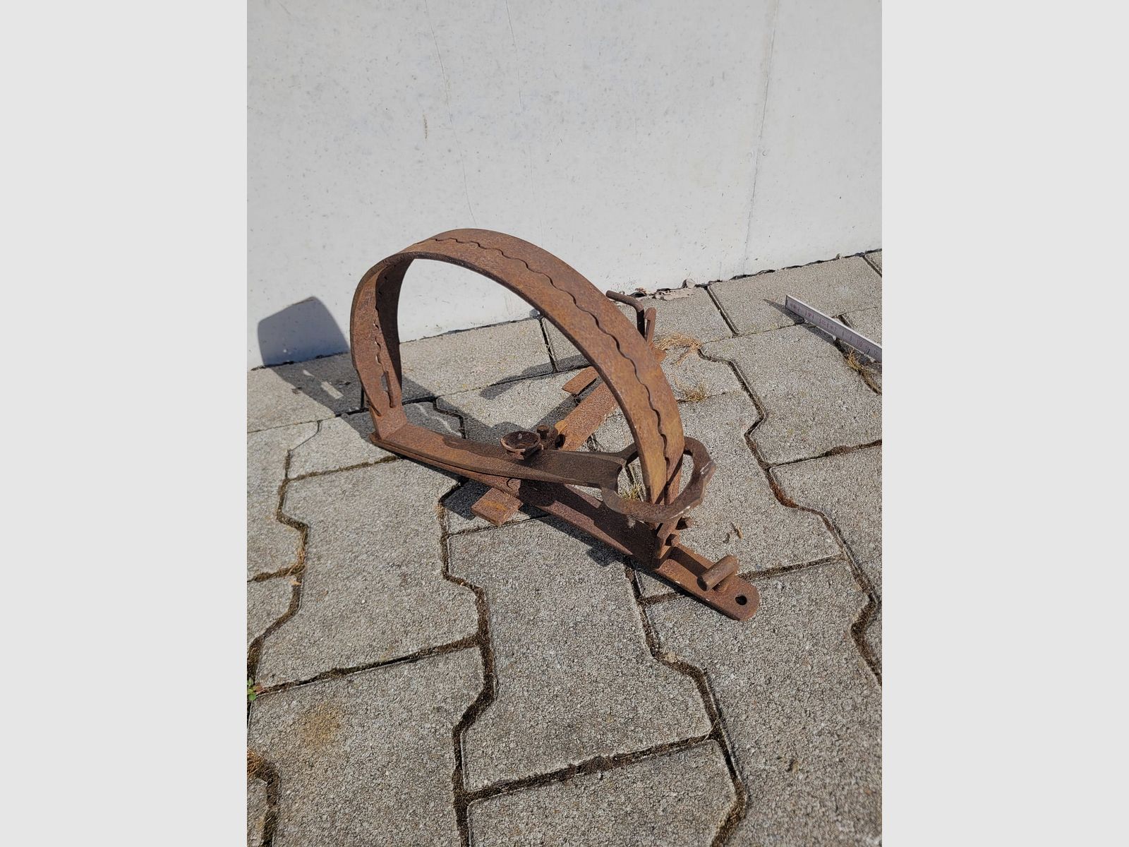 Bear trap decoration 48cm