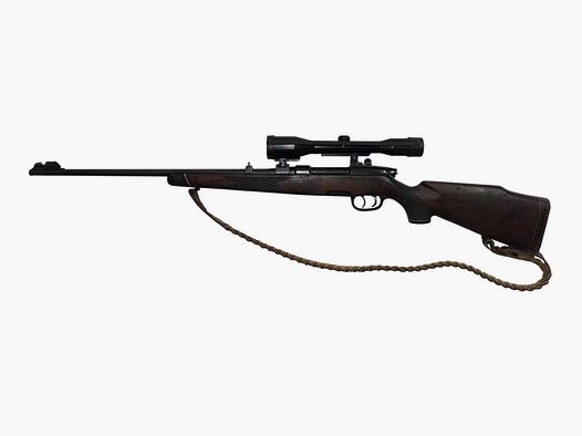Steyr Mannlicher Mod. M