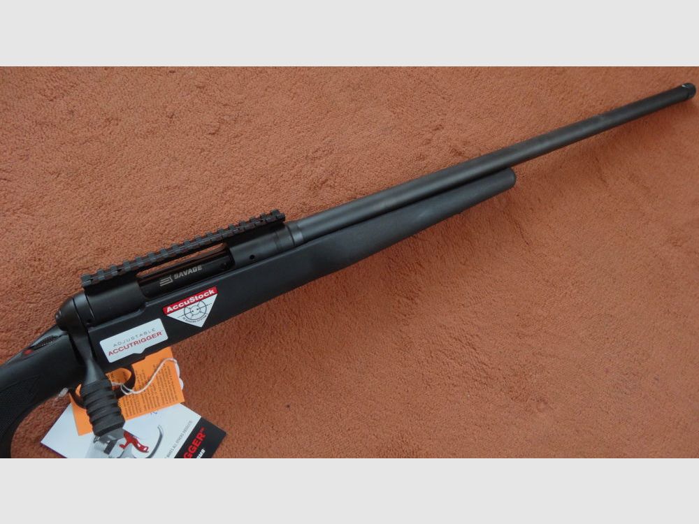 FUSIL À RÉPÉTITION SAVAGE : MODÈLE 10 TR DE SAVAGE ARMS CALIBRE .308 WIN,