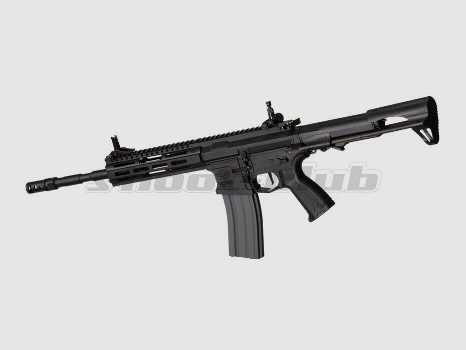 G&G Armament G&G CM16 Raider 2.0L