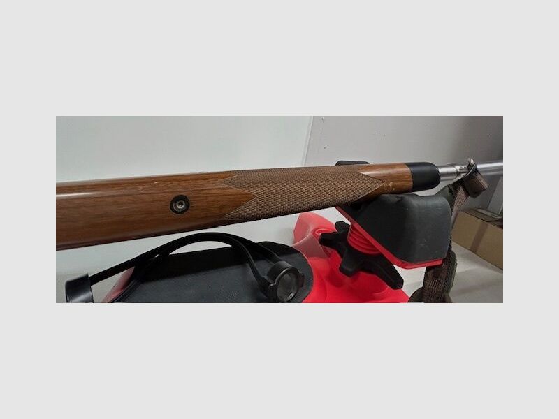 Safari Espressi Selvaggio Selvaggio