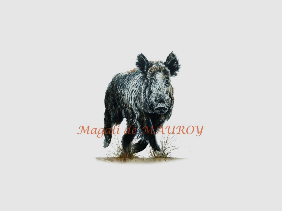 Magali de Mauroy nummerierte Reproduktionen - Wildschwein