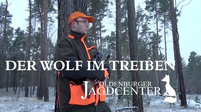 Der Wolf im Treiben - Erfahrungen im Jagdjahr 2016/2017