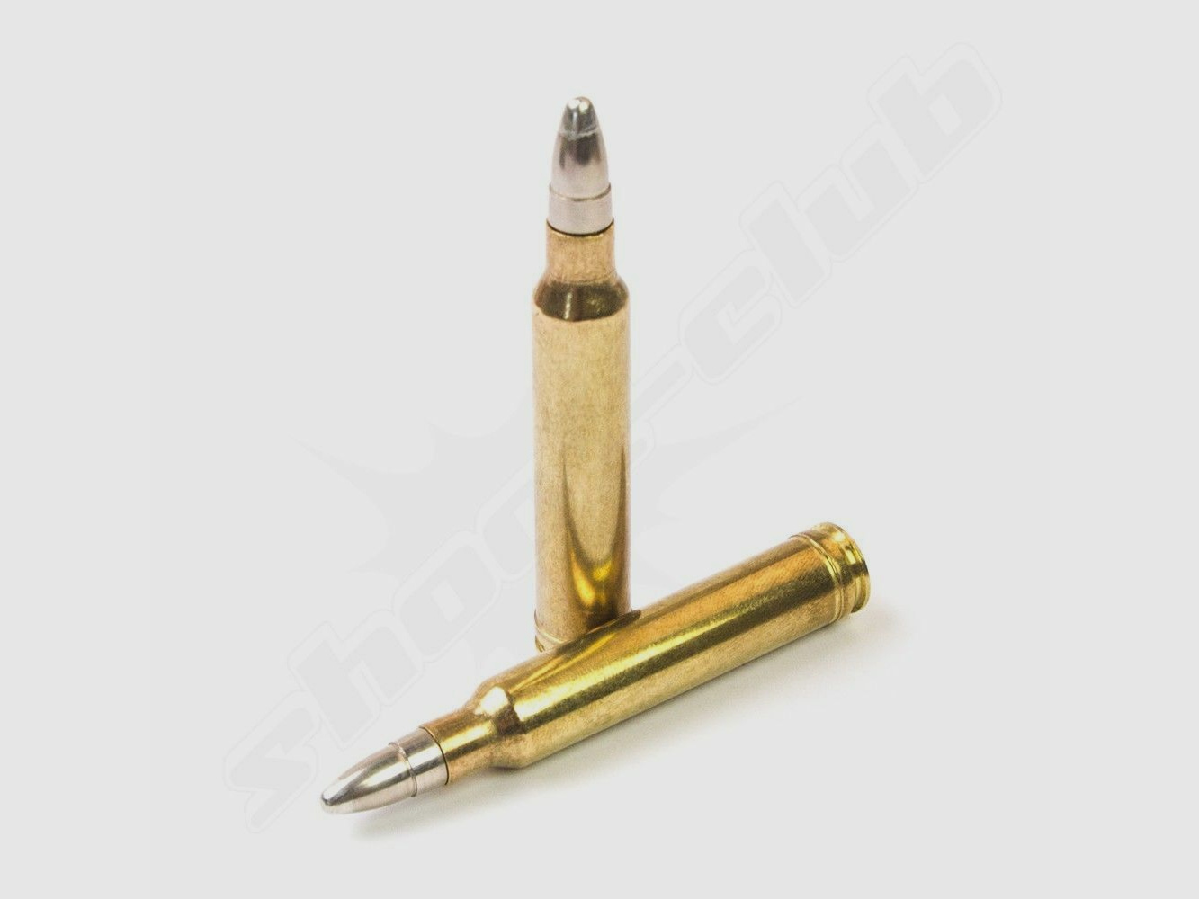 Brenneke .300 win mag TUG nature 8,5g