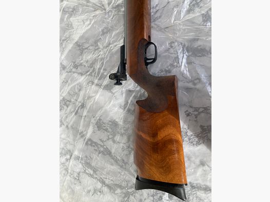 Walther LGV mit Diopter  -  frei erwerbbar da markiert mit dem "F" im Fünfeck