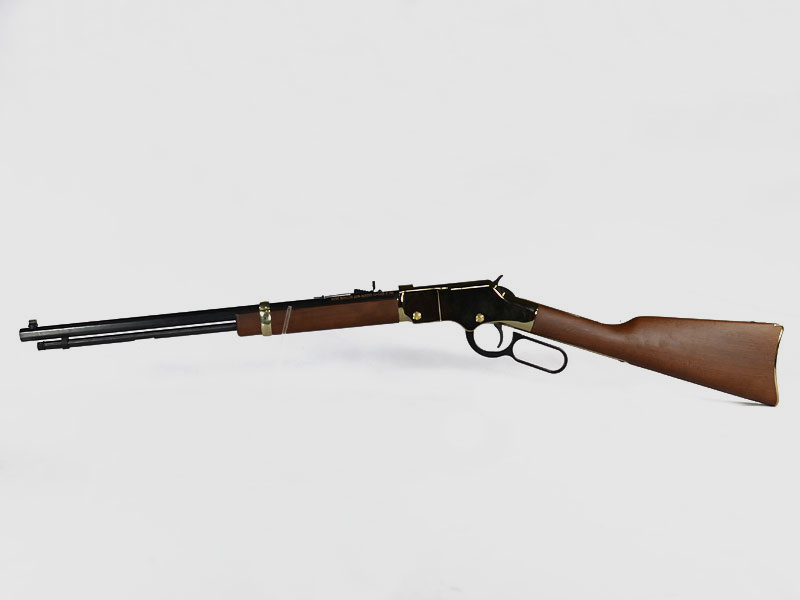 HENRY Golden Boy .22