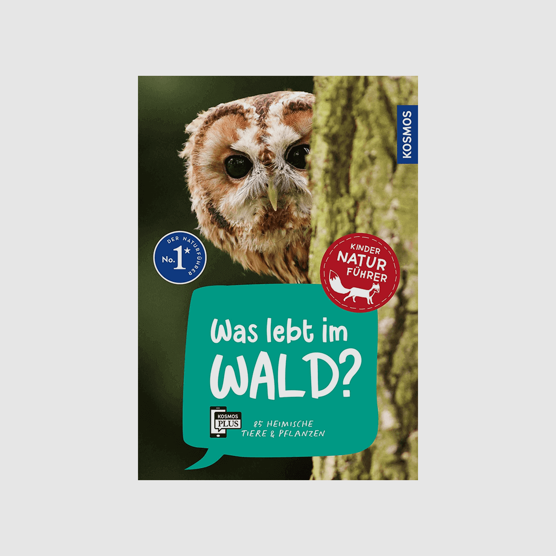 Kinderbuch „Kindernaturführer: Was lebt im Wald?“