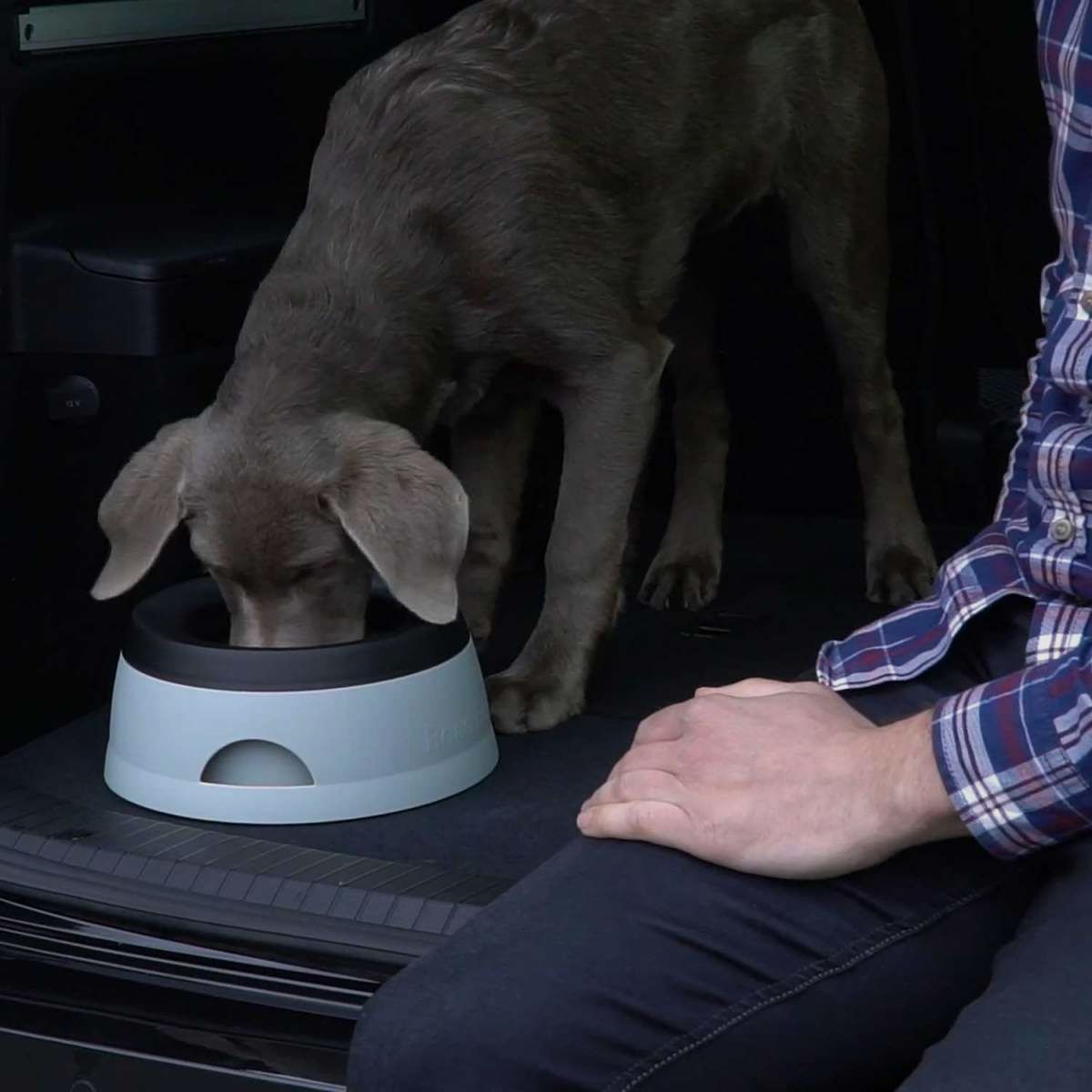 Travel Bowl - Car Bowl, image 5 of 7