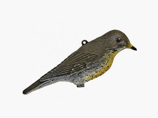 Turdus lokvogel met gesloten vleugels mod. 010101