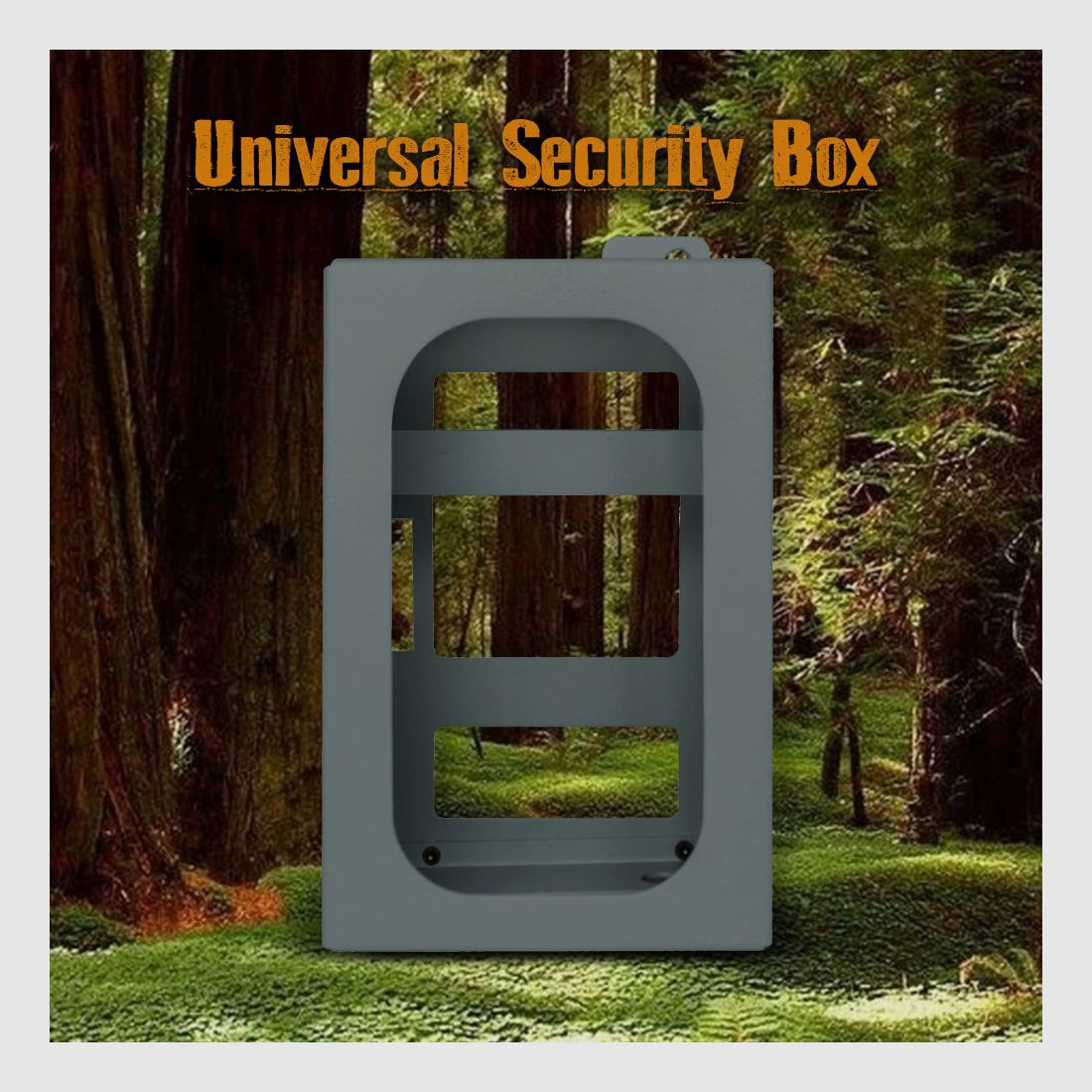 Boly Cam Security Box Universal