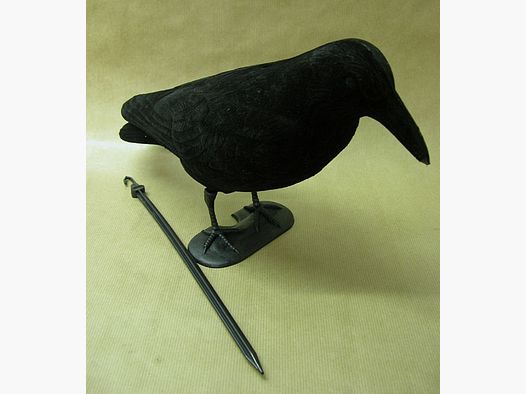 Corpo intero LOCK CORVO FLOCKED con picchetto e piedi