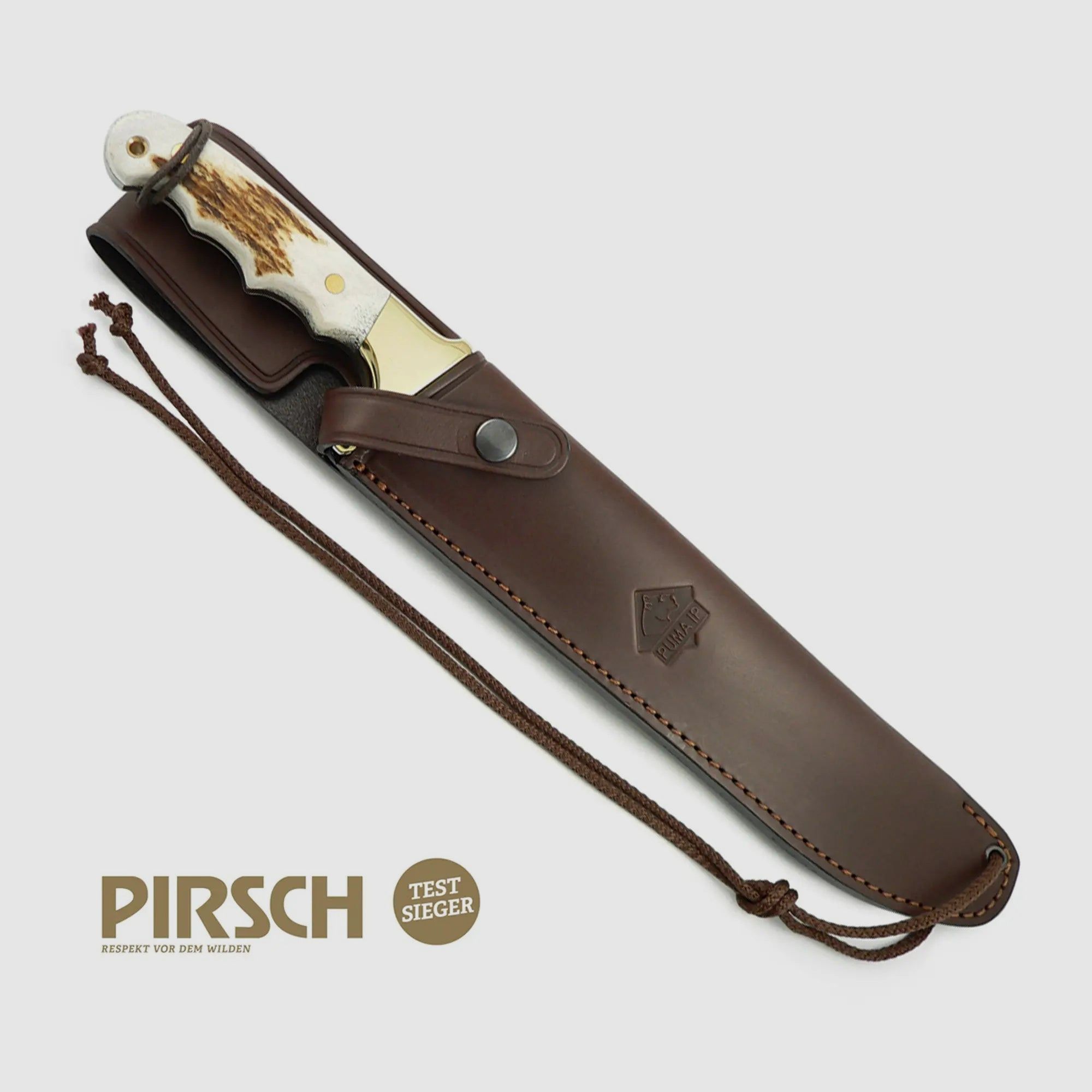 PUMA IP longhorn, cerf