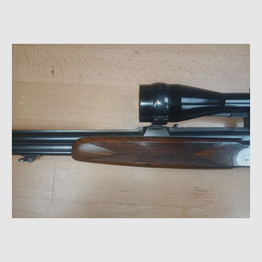 Zarnardini, princesse italienne