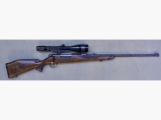 Sauer Weatherby Europa