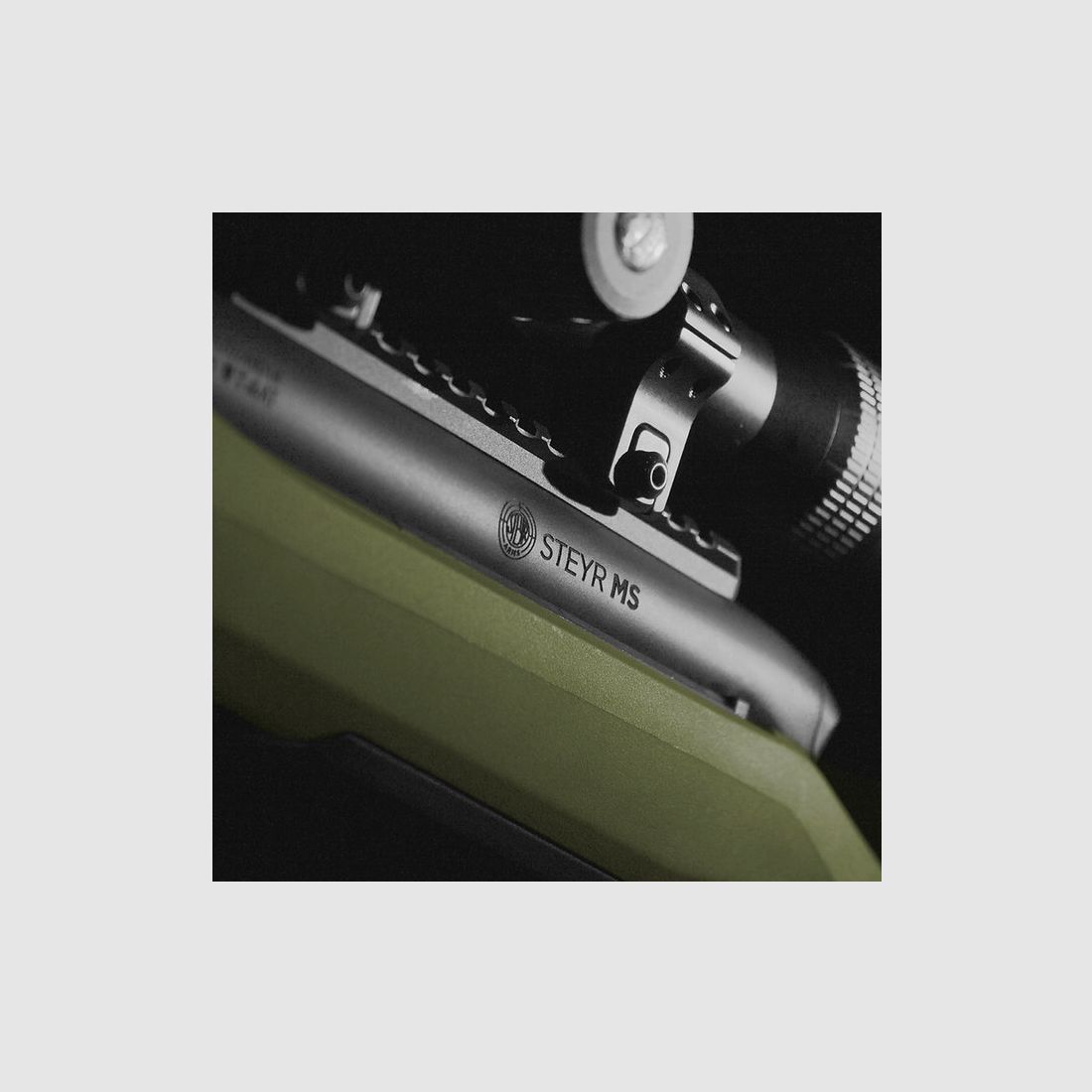 STEYR MS Wild grün Repetierer