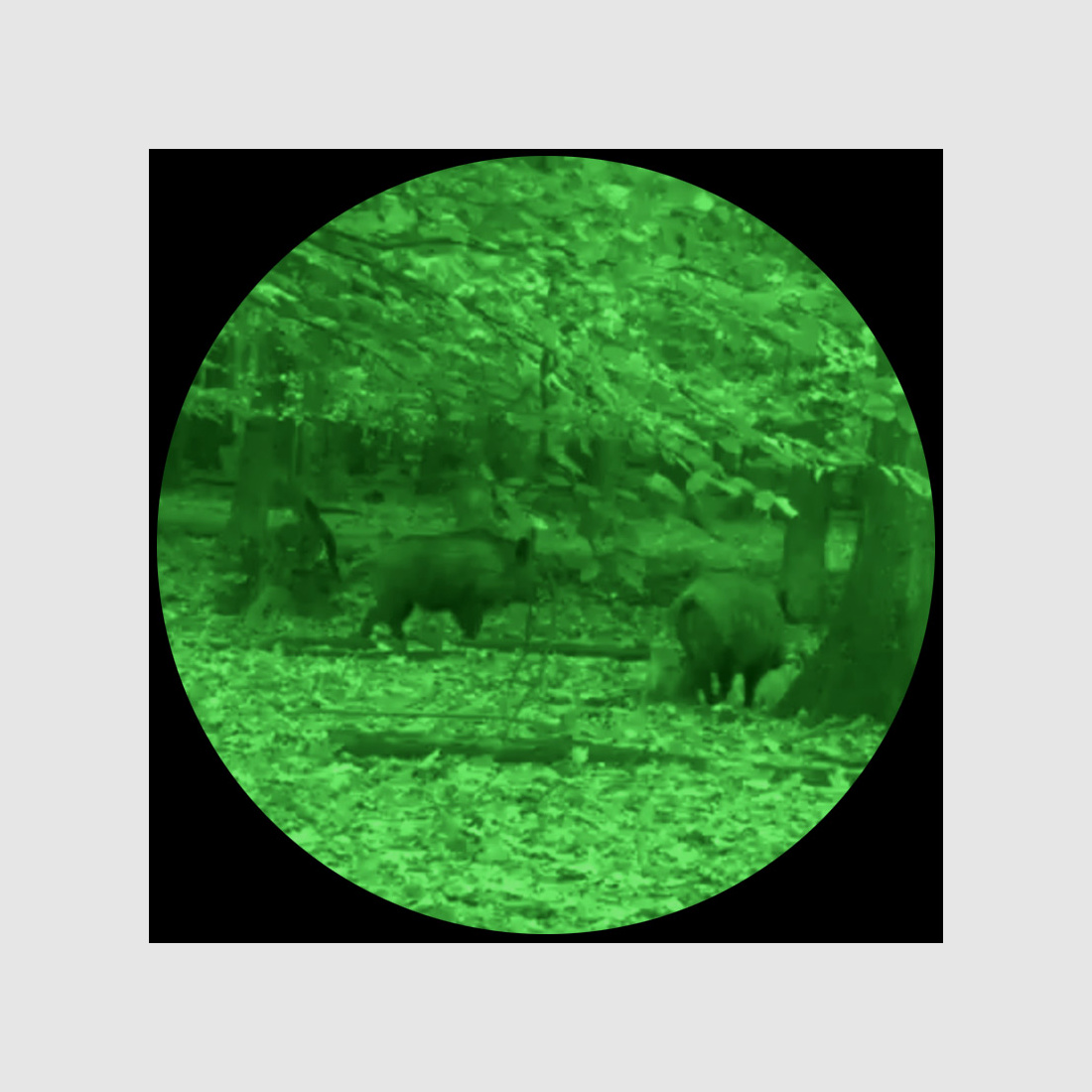 Lahoux LV-81 Elite+ Beeldweergave GROEN