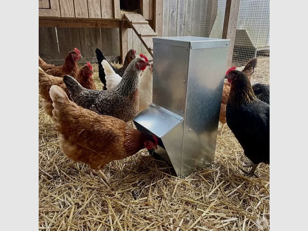 Galvanized hopper feeder 7 kg for chickens and poultry, image 1 of 10