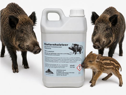 Kiefernholzteer