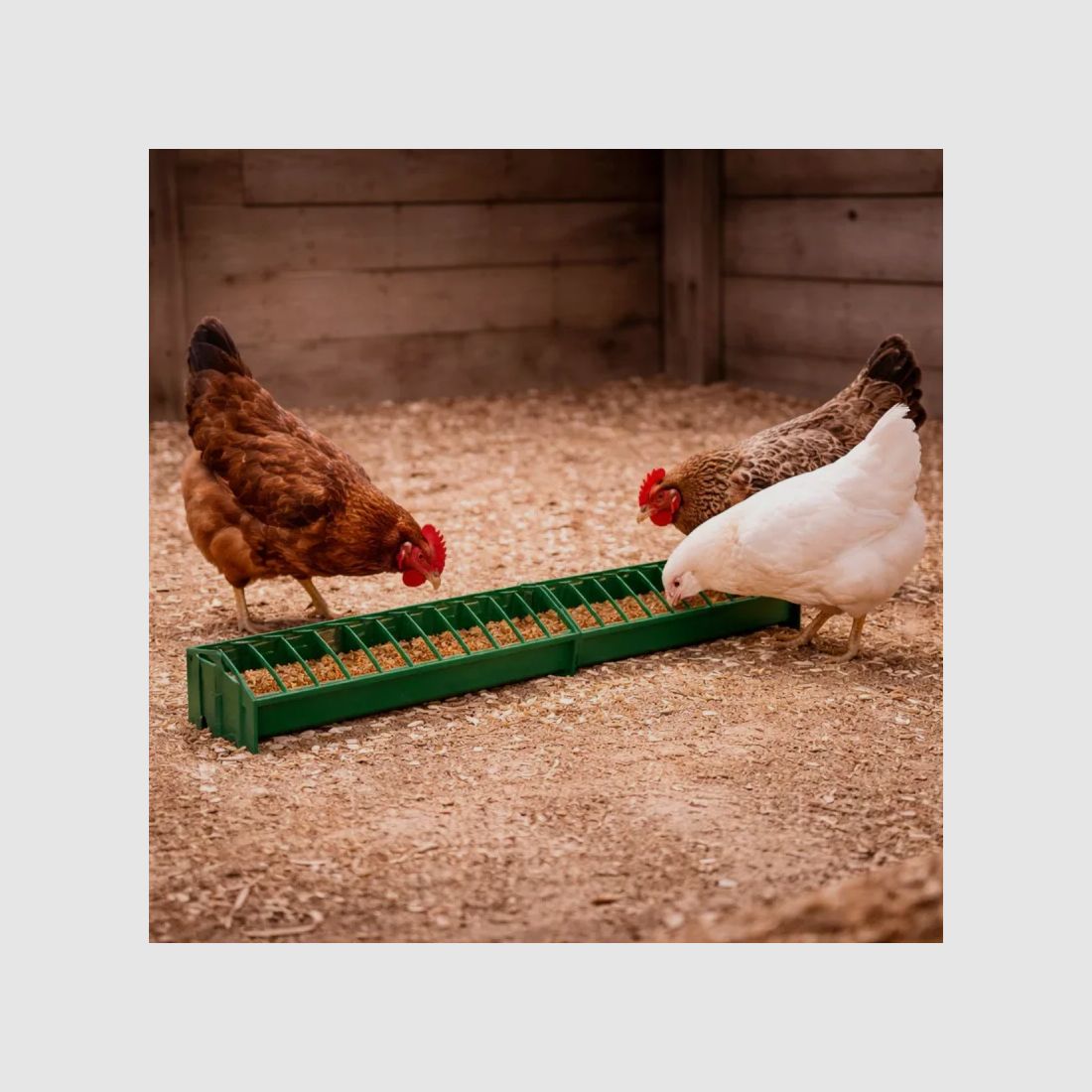 Lineare Futterstation für Geflügel aus Kunststoff 100 cm, Bild 1 von 5