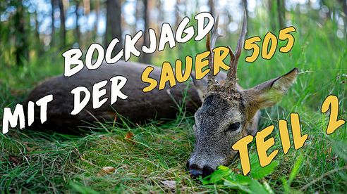 Bockjagd mit der NEUEN Sauer 505 - Teil 2