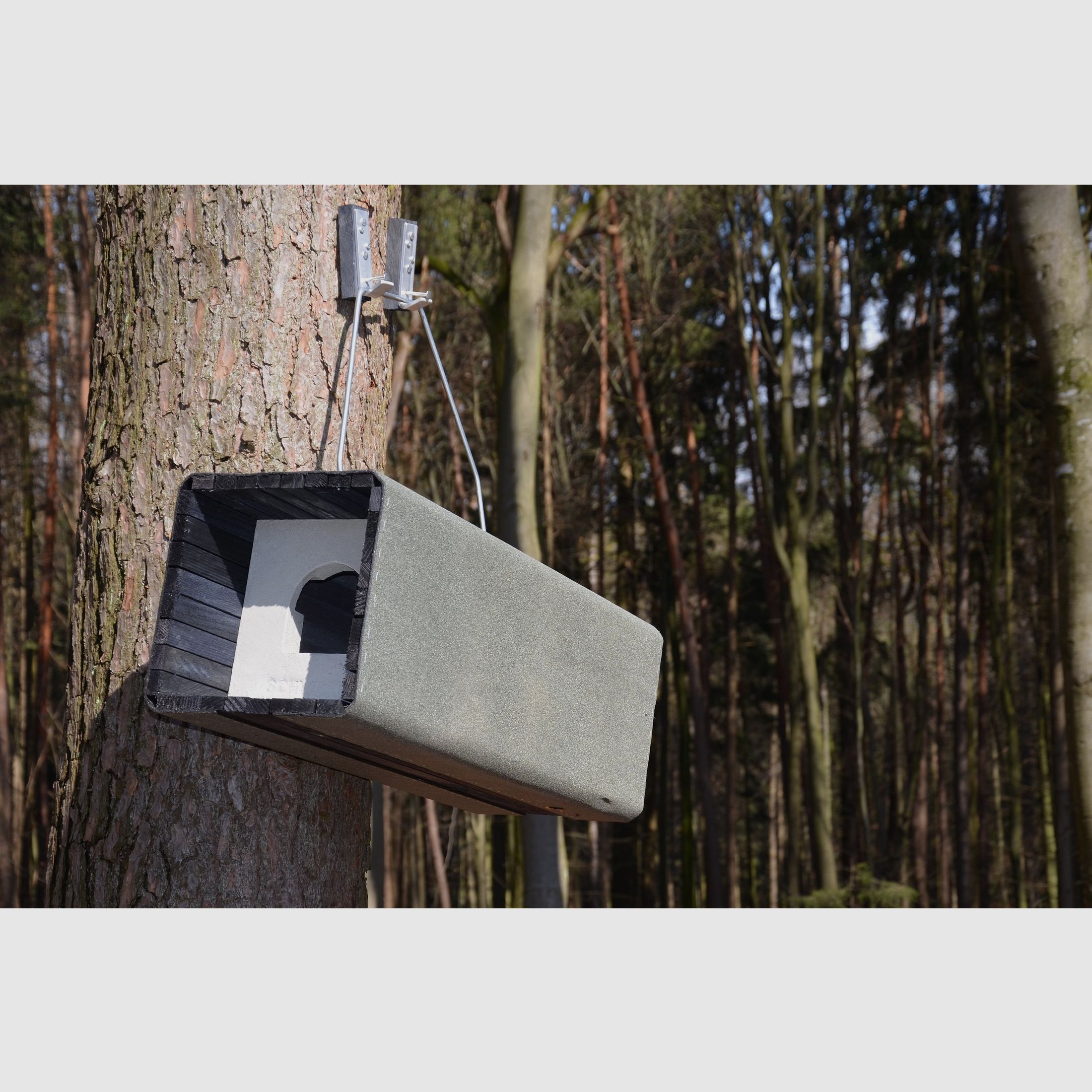 Schwegler Waldkauzrhre 1WK