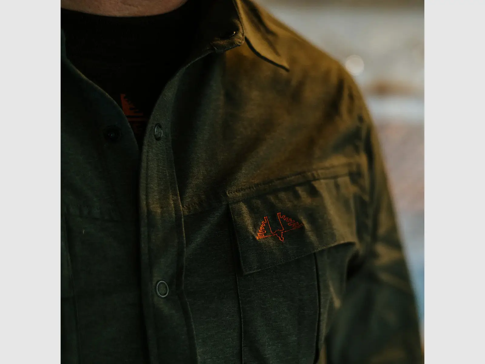 Camisa SWEDTEAM Titan Shirt, imagen 3 de 3