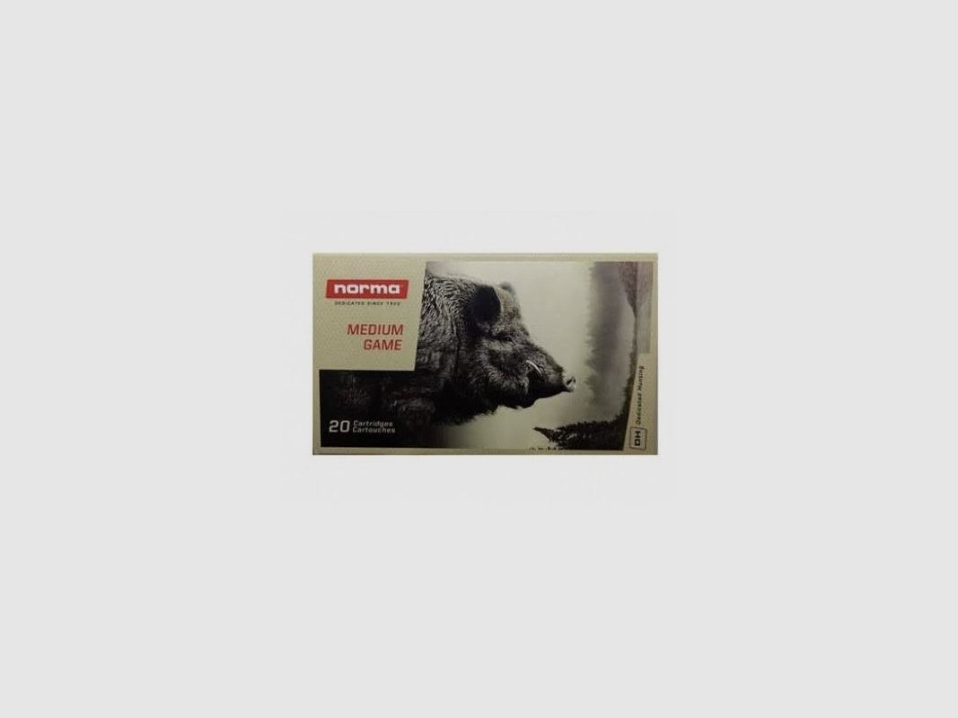Norma 30-06 Sprg. P. Plastic 180gr, afbeelding 1 van 2