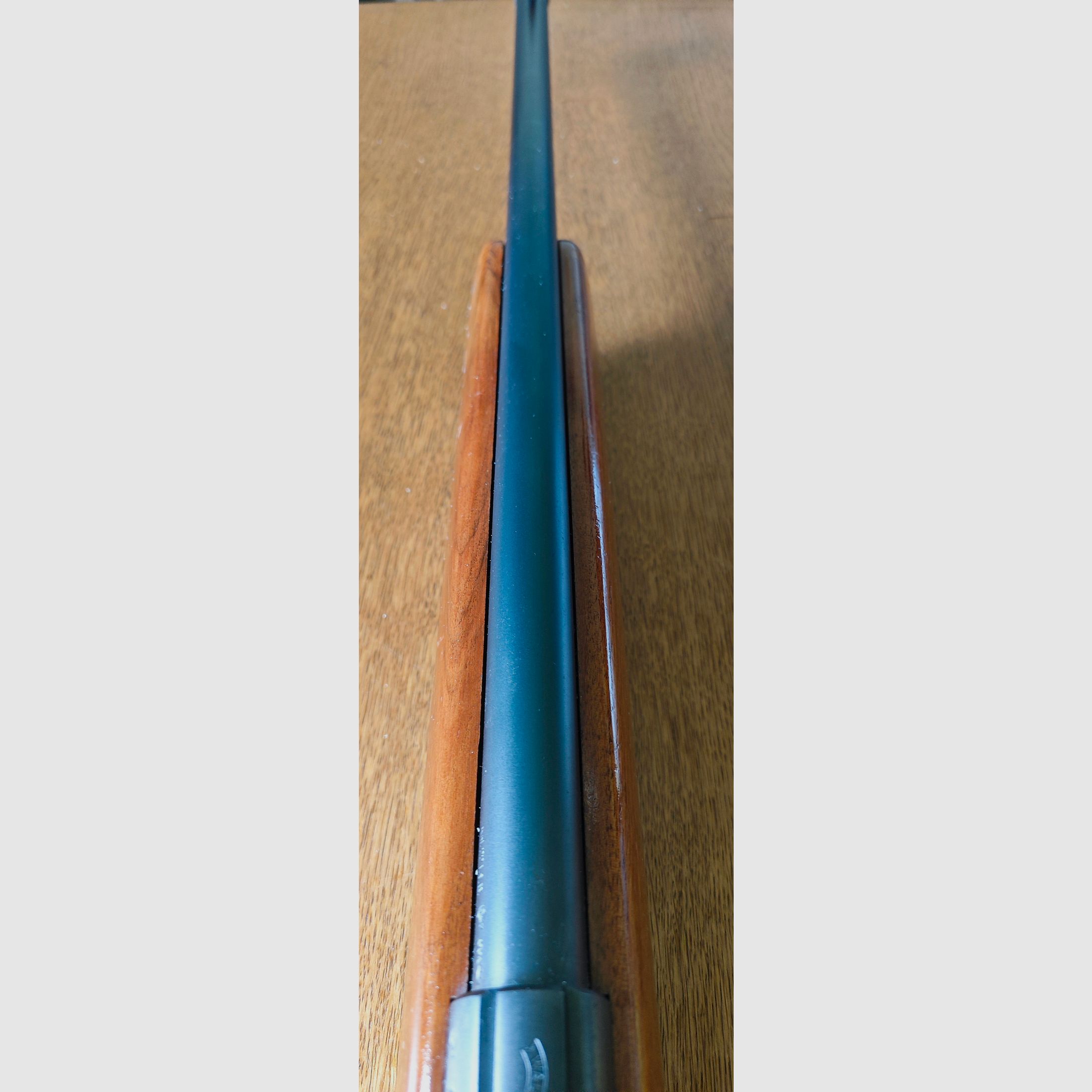 Walther Kleinkaliber 0.22