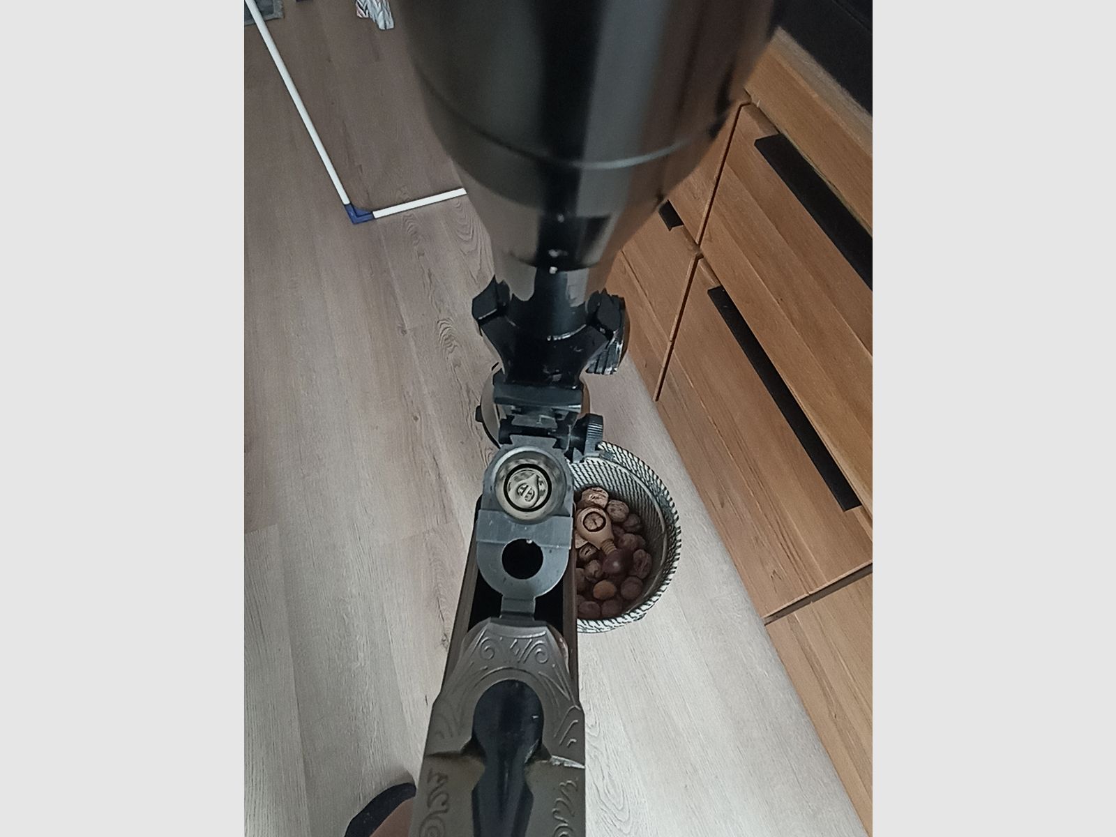 Blaser es 67
