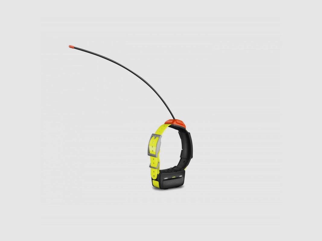GARMIN T 5 - VERSION F Tracking Collar, image 1 of 2