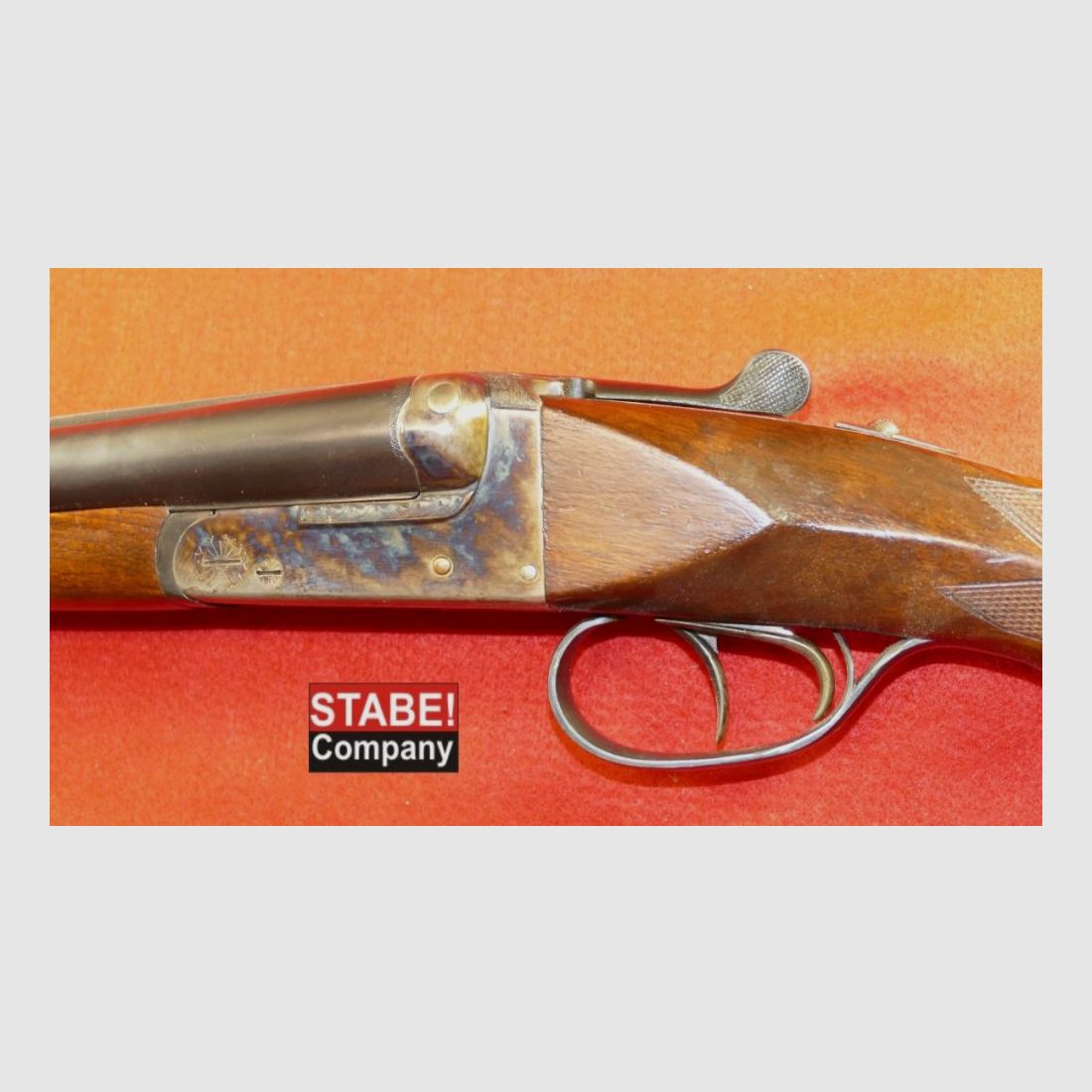 AYA Spanien Habicht-Pieper