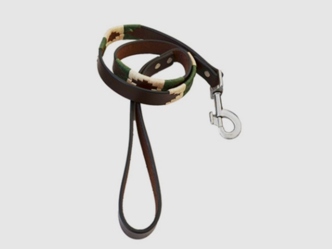 HUNDESCHLAUFE ARGENTINISCHES LEDER BESTICKT BEIGE/GRÜN
