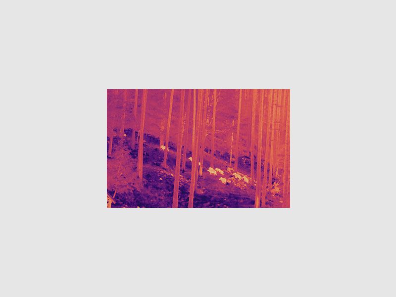 Nitehog Viper 50 Next thermal imaging camera