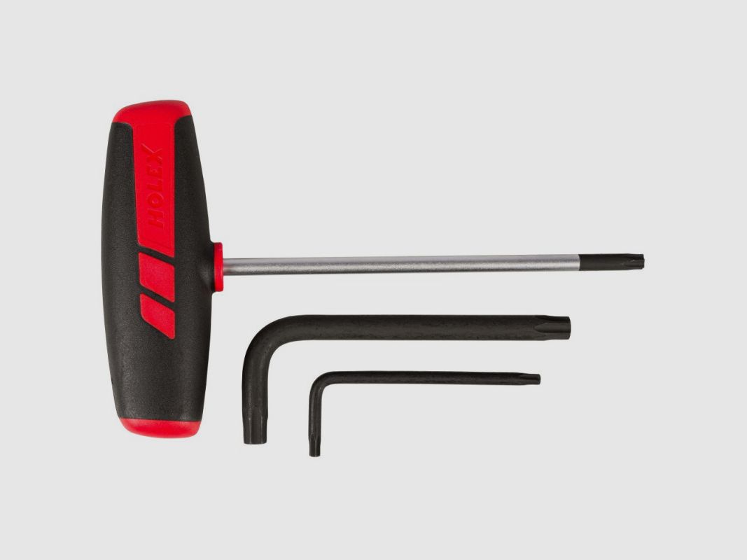 Anschütz Werkzeugset Torx Nr. 2