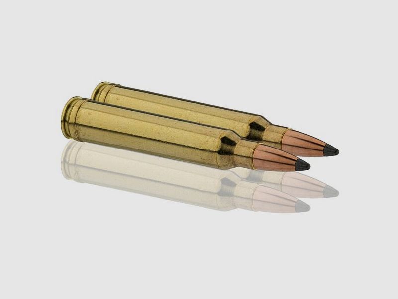Jachtkogels Sologne Klassic Kaliber 300 Win Nosler Partition, afbeelding 3 van 16