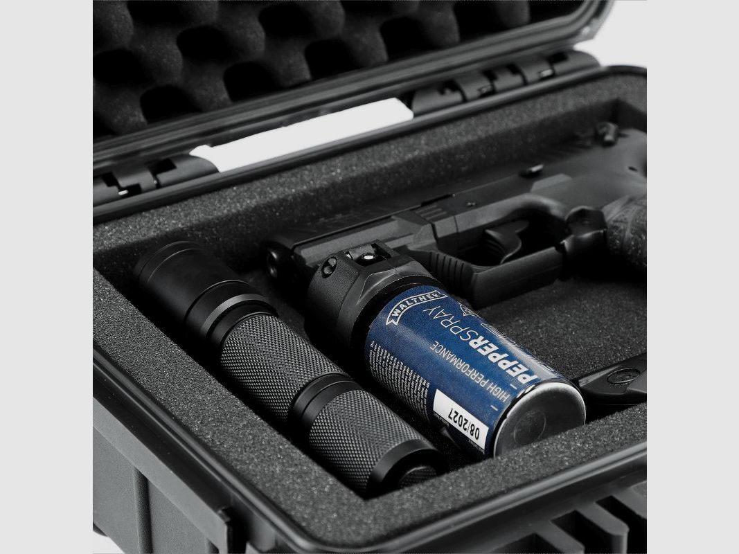 Walther P22 Q R2D-KIT 9mm P.A.K., Bild 14 von 16