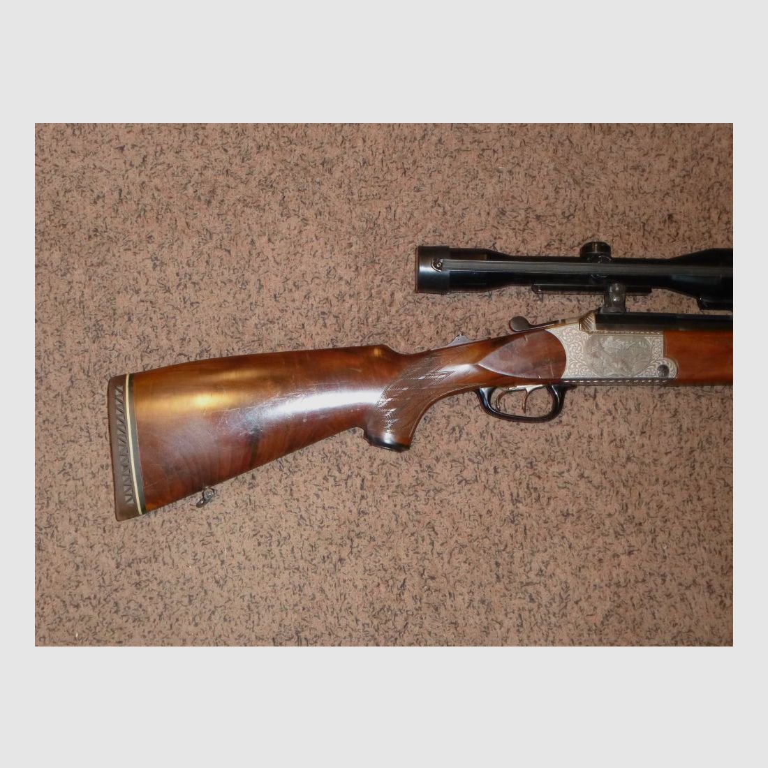 Blaser ES70