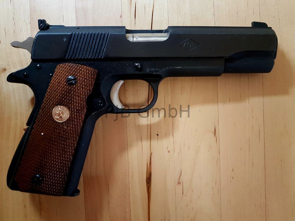 Colt ACE