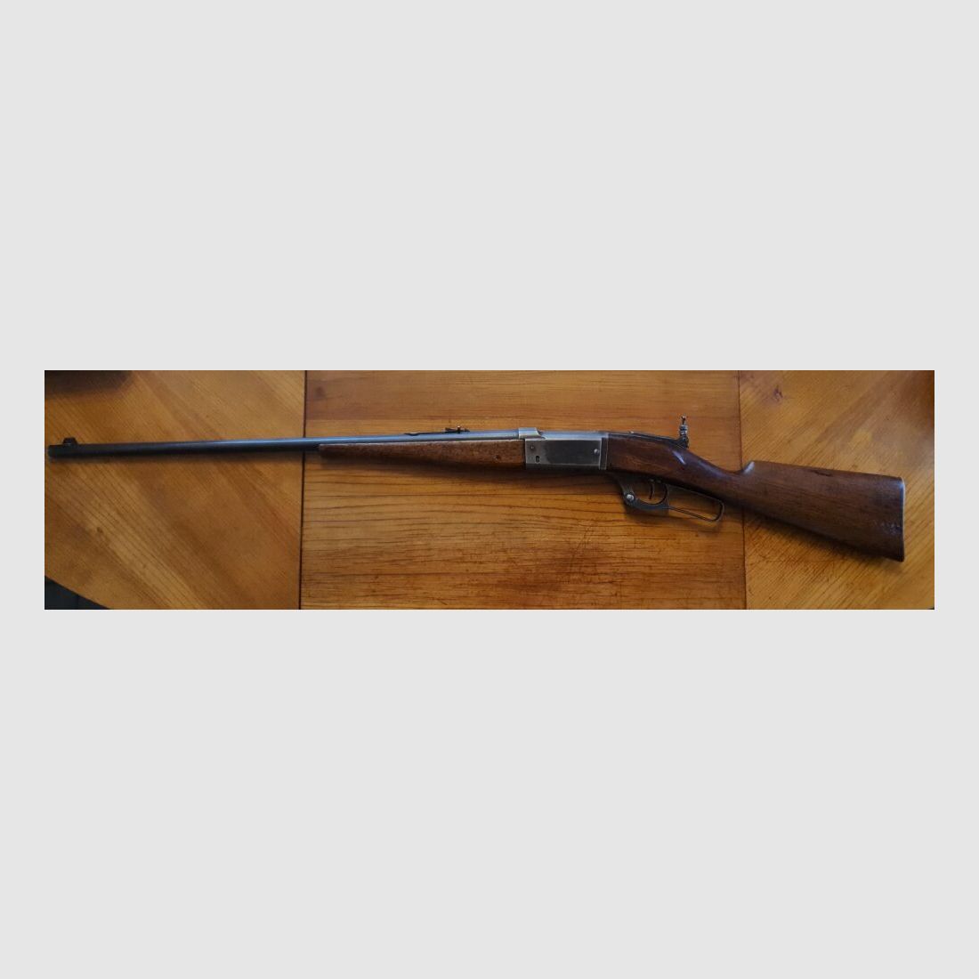 Savage 1899