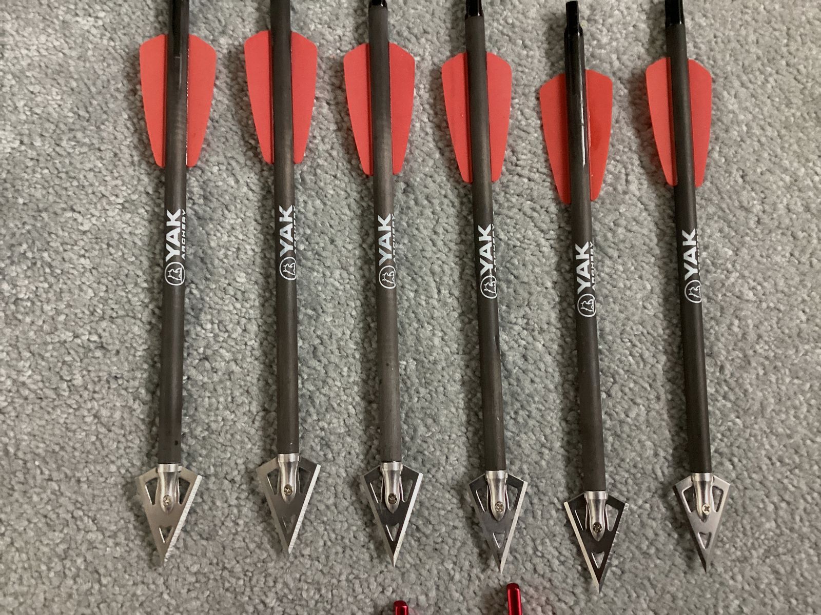 EK Archery Adder Carbonbolzen 7,5 Zoll