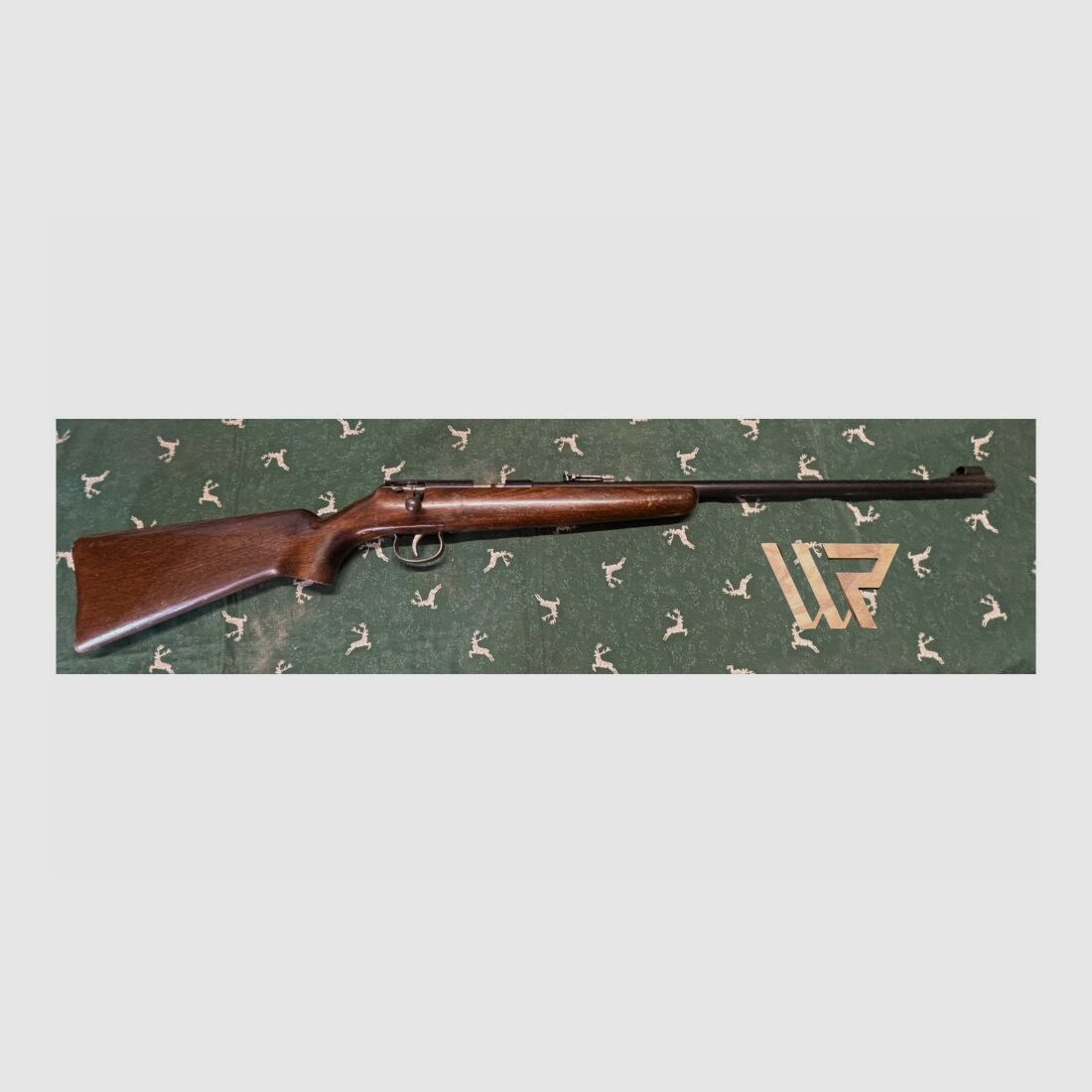 Anschütz .22lr