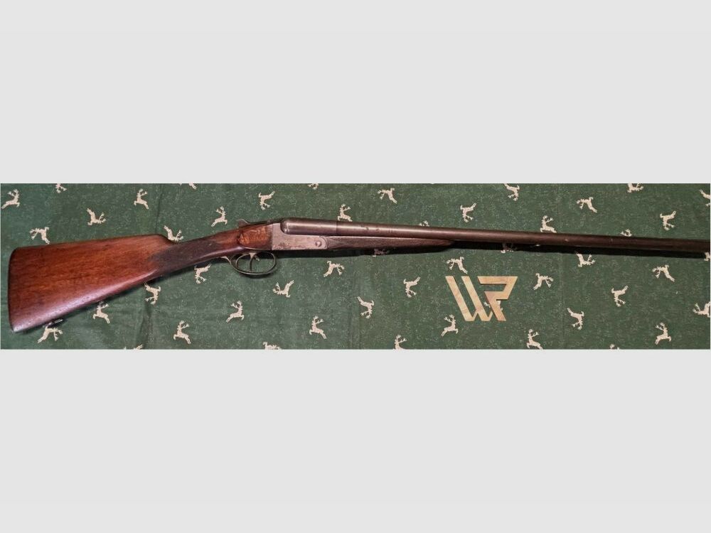 Fosil Robust Brevek - 12/65