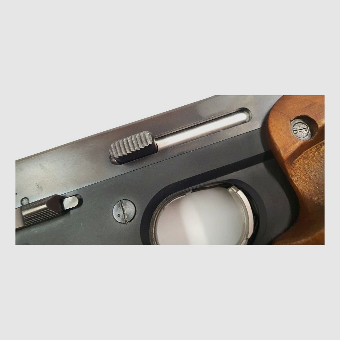 Walther GSP inkl. Nill Griffschalen