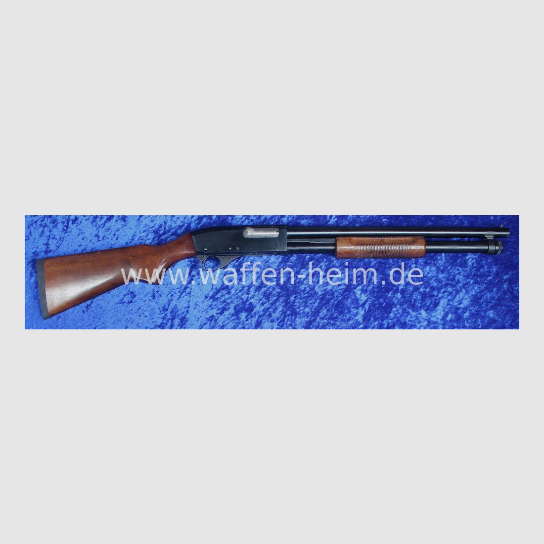 CBC 586 - P