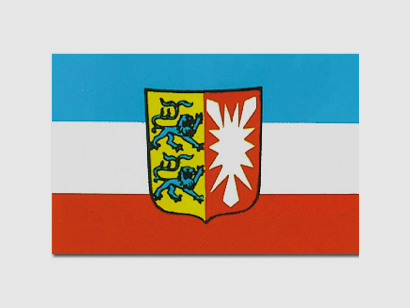 Diverse Flagge Schleswig-Holstein