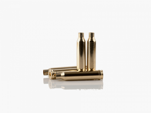 PPU HÜLSEN .22 HORNET - 50 STÜCK - MESSING