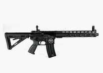Bavarian Tactical Systems BTS-15 Thumper .450 Bushmaster