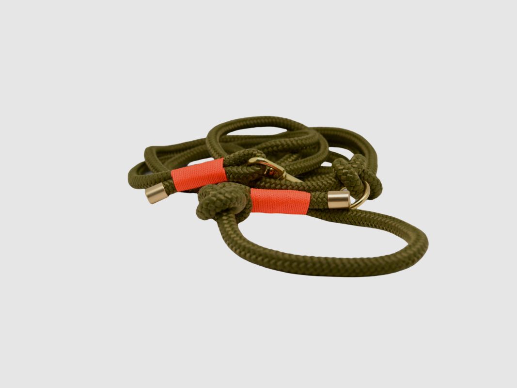 Tochterfirma U-Retrieverleine 10 mm Oliv/Jagdorange